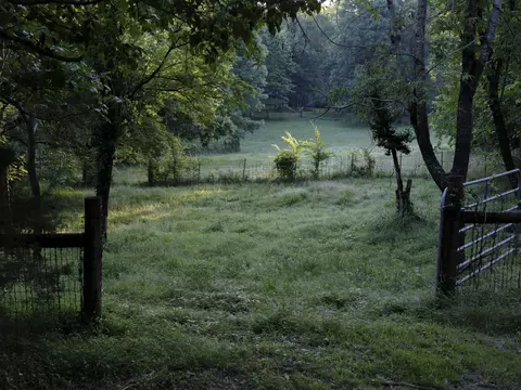 7725 Caney Fork Rd, Fairview, TN 37062 photo 34