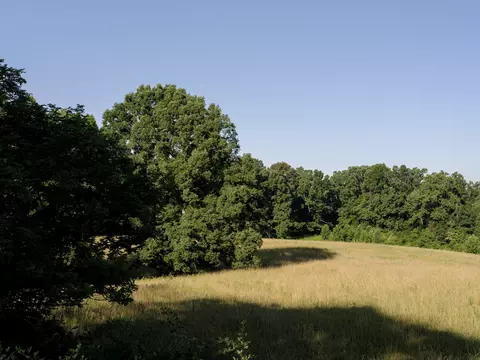 7725 Caney Fork Rd, Fairview, TN 37062 photo 44