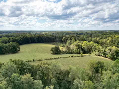 7725 Caney Fork Rd, Fairview, TN 37062 photo 54