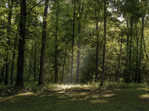 7725 Caney Fork Rd, Fairview, TN 37062 photo 2