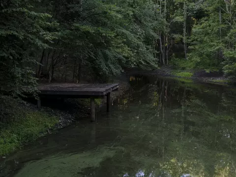 7725 Caney Fork Rd, Fairview, TN 37062 photo 46