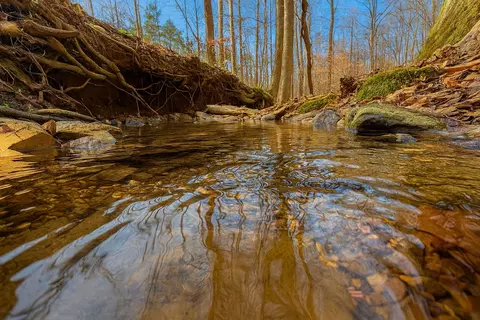 Other - 810 Lucas Rd, Dickson, TN 37055 photo 4 of 4