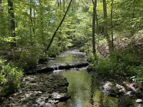 283 Dyestone Springs Rd, Hohenwald, TN 38462