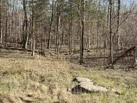 0 Lake Dr, Clifton, TN 38425