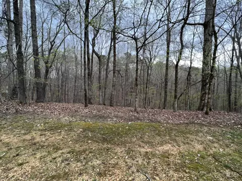 0 Lake Bluff Path, Savannah, TN 38372
