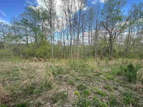 0 Tinin Rd, Clifton, TN 38425