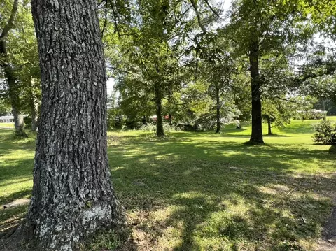 741 Damron Loop, Counce, TN 38326 photo 7