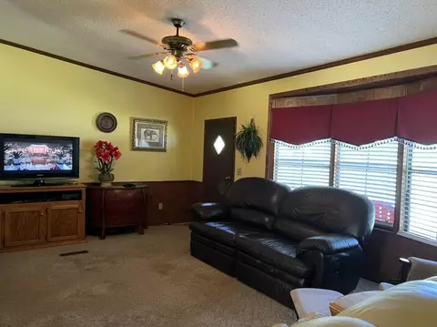741 Damron Loop, Counce, TN 38326 photo 14