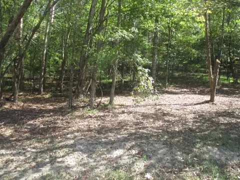 0 Reese Rd, Bethpage, TN 37022