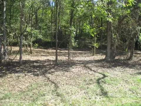 1141 Reese Rd, Bethpage, TN 37022