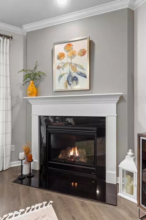 Living - 1331 Madison Ln, Spring Hill, TN 37174 photo 2 of 2