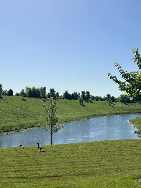 View/Area - 1331 Madison Ln, Spring Hill, TN 37174 photo 3 of 8