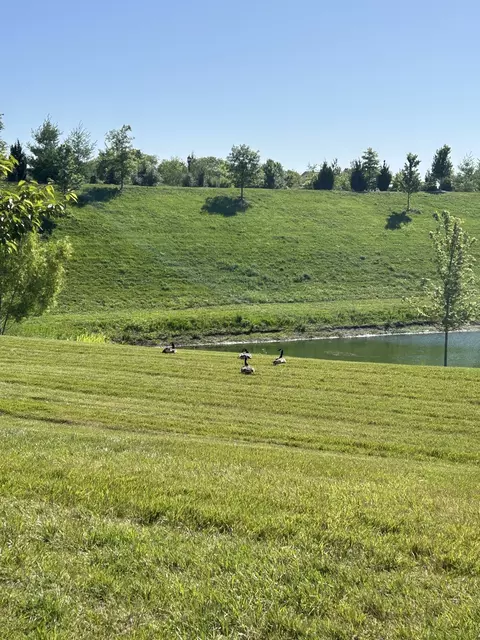 View/Area - 1331 Madison Ln, Spring Hill, TN 37174 photo 2 of 8