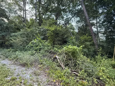 0 Morrison Ln, Ringgold, GA 30736 photo 2