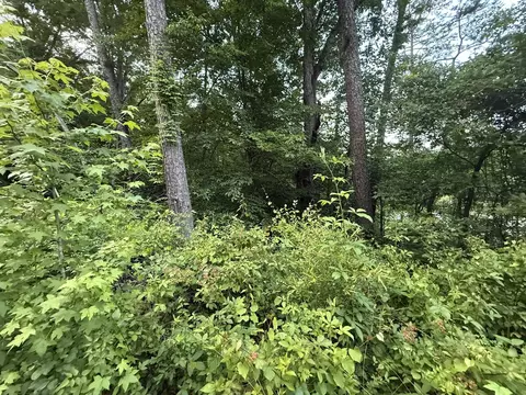 0 Morrison Ln, Ringgold, GA 30736 photo 3