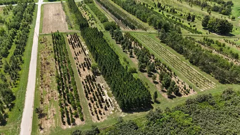 770 Hill Rd, Mcminnville, TN 37110