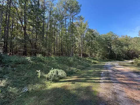 233 Zara Spook Dr, Cedar Grove, TN 38321