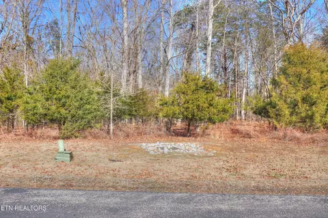 151 E Shore Dr, Rockwood, TN 37854