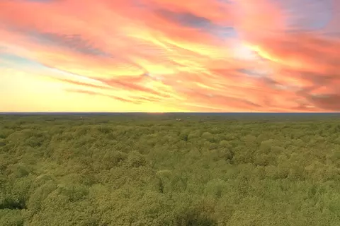 138 Vaughn Rd, Charlotte, TN 37036