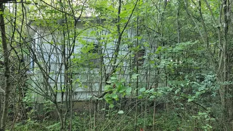 225 David Williams Rd, Bell Buckle, TN 37020