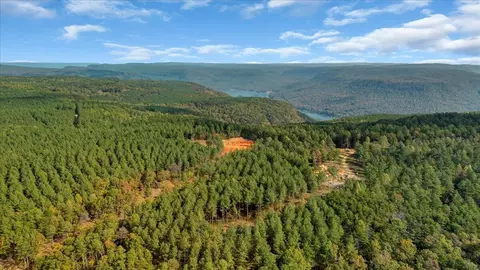 400 Treetop St, Guild, TN 37340 photo 7