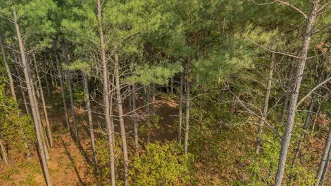 400 Treetop St, Guild, TN 37340 photo 11