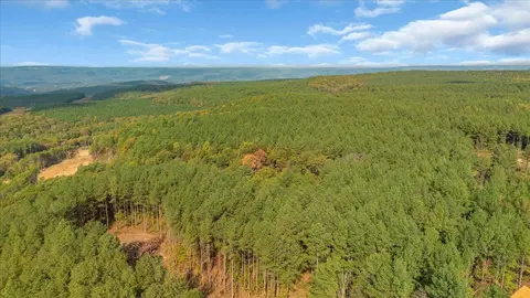 400 Treetop St, Guild, TN 37340 photo 12
