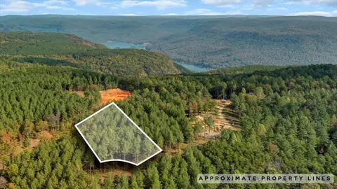 400 Treetop St, Guild, TN 37340