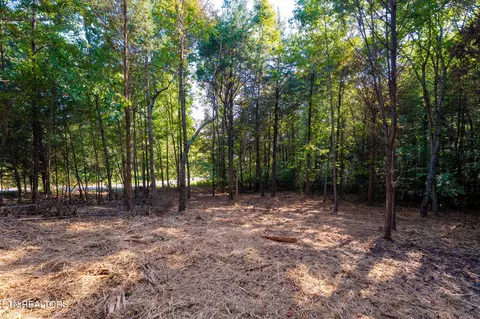 320 Valley Dr, Loudon, TN 37774
