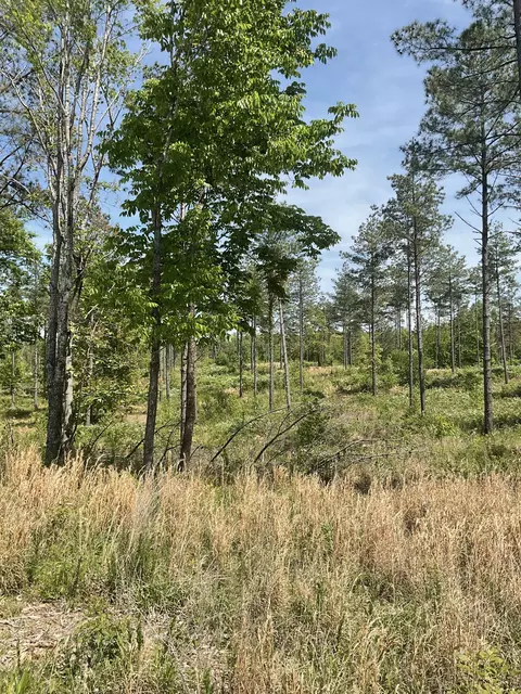 0 Saddleback Dr, Dover, TN 37058 photo 5
