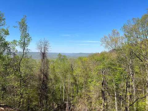 0 Saddleback Dr, Dover, TN 37058 photo 35