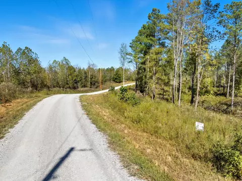 0 Saddleback Dr, Dover, TN 37058 photo 8
