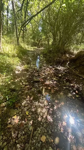 0 Holmes Gap Rd, Brush Creek, TN 38547