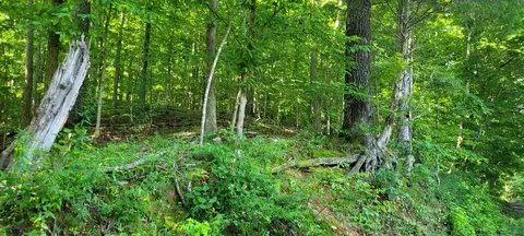 1 Terrapin Run Rd, Dover, TN 37058 photo 3