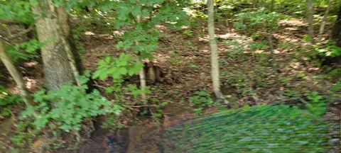 1 Terrapin Run Rd, Dover, TN 37058 photo 2