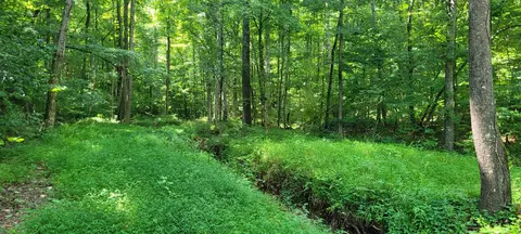 1 Terrapin Run Rd, Dover, TN 37058 photo 10
