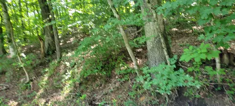 1 Terrapin Run Rd, Dover, TN 37058 photo 6