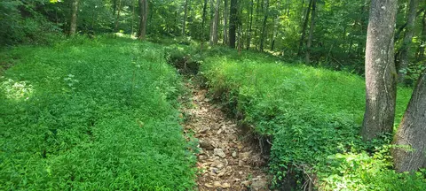 1 Terrapin Run Rd, Dover, TN 37058 photo 9