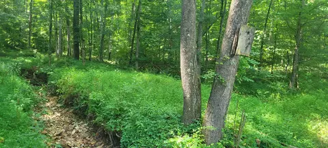 1 Terrapin Run Rd, Dover, TN 37058 photo 8