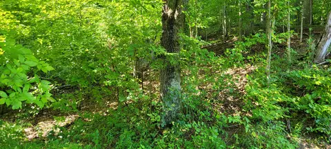 1 Terrapin Run Rd, Dover, TN 37058 photo 4