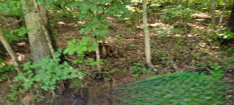 1 Terrapin Run Rd, Dover, TN 37058 photo 7