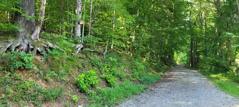 1 Terrapin Run Rd, Dover, TN 37058 photo 11