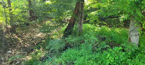 1 Terrapin Run Rd, Dover, TN 37058 photo 5
