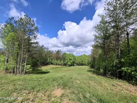 38 Stonecipher Ct, Sunbright, TN 37872 photo 13