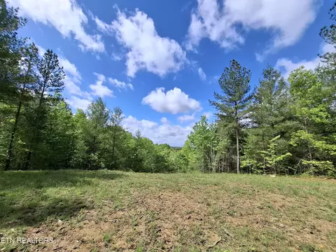 38 Stonecipher Ct, Sunbright, TN 37872 photo 3