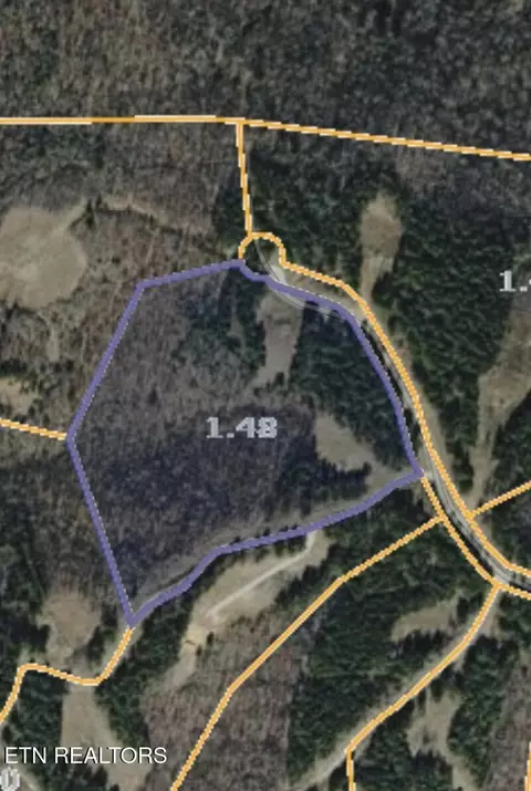 38 Stonecipher Ct, Sunbright, TN 37872 photo 22
