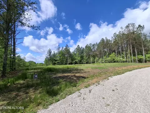 38 Stonecipher Ct, Sunbright, TN 37872 photo 5
