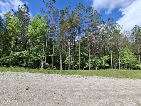 38 Stonecipher Ct, Sunbright, TN 37872 photo 8