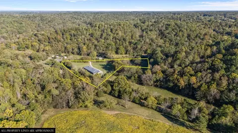 Other - 3950 Budds Creek Rd, Cunningham, TN 37052 photo 22 of 23