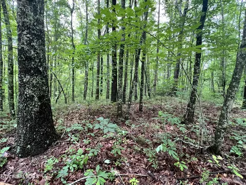 4 Rob Watson Rd, Oneida, TN 37841 photo 2